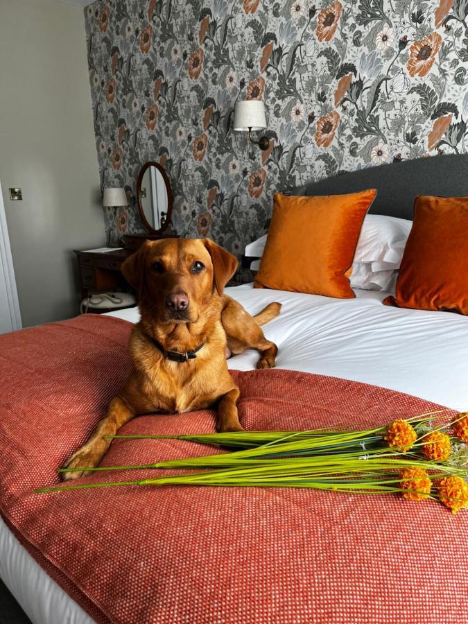 The Crown Pub And Hotel Manningtree Εξωτερικό φωτογραφία